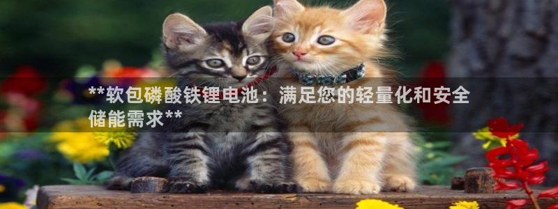尊龙凯时论坛：**软包磷酸铁锂电池：满足您的轻量化和安全
储能需求**