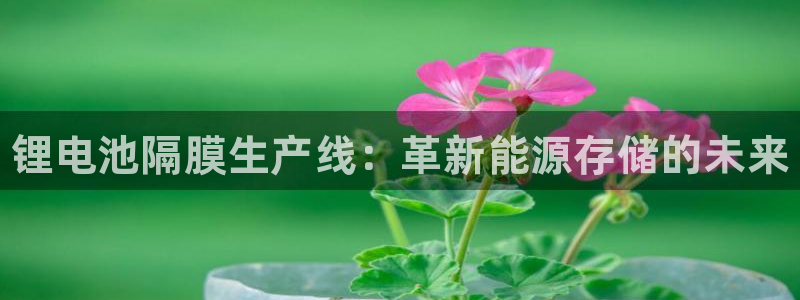 尊龙实业：锂电池隔膜生产线：革新能源存储的未来