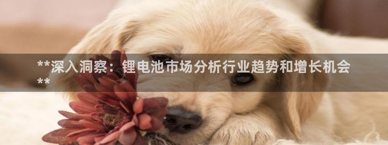 尊龙负面新闻：**深入洞察：锂电池市场分析行业趋势和增长机会
**