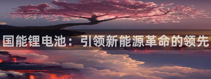 尊龙凯时推荐人：国能锂电池：引领新能源革命的领先