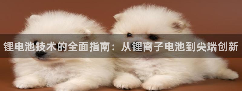 凯时国际官方版