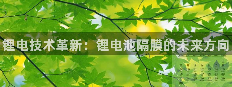 尊龙官网免费下载安卓