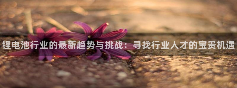 凯时在线平台官网