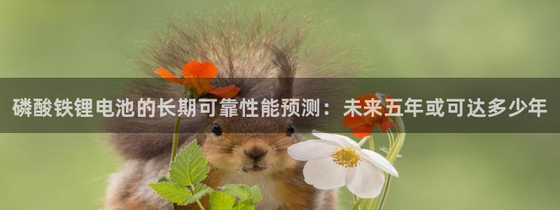 尊龙eight is enough