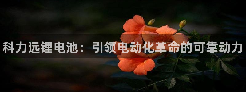 尊龙人生就是博用现金玩一下：科力远锂电池：引领电动化革命的可靠动力