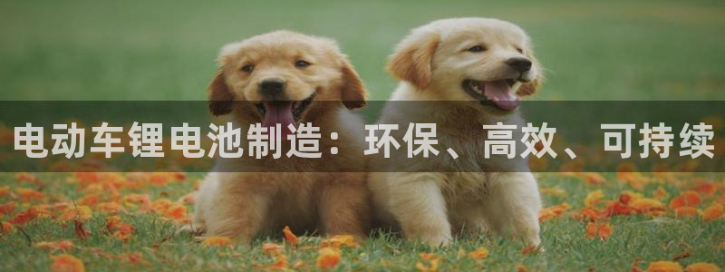 尊龙凯时正规吗