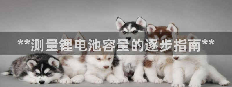 尊龙凯时存款不上分