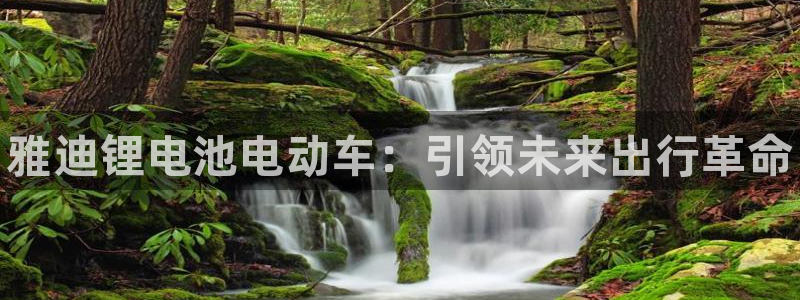 尊龙app最新版本官网