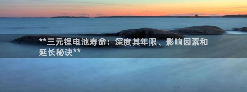 旧版尊龙人生就是博下载