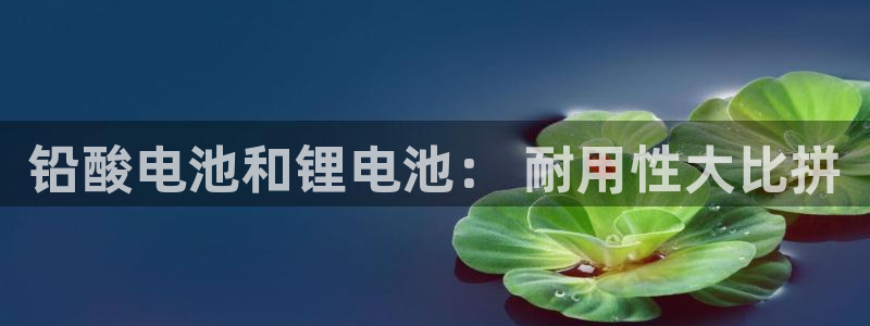 尊龙,人生就是博!登录国际：铅酸电池和锂电池： 耐用性大比拼