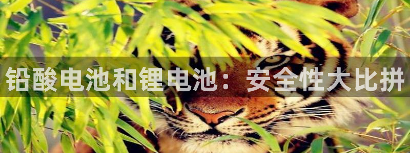 尊龙科技：铅酸电池和锂电池：安全性大比拼