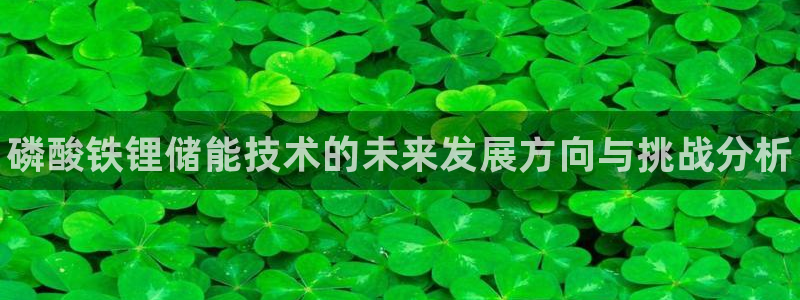 尊龙体育怎么样