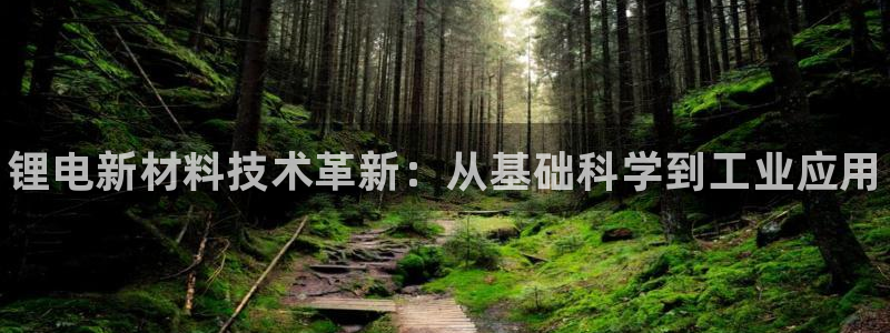 尊龙网站注册站注册