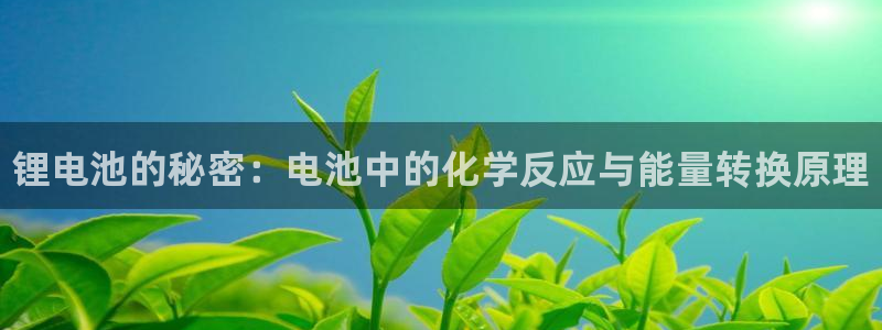 凯时国际app首页登录