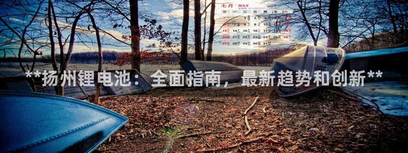 尊龙z6官网ag：**扬州锂电池：全面指南，最新趋势和创新**