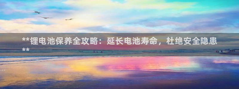 尊龙凯时人生就是博·(中国)官网首页：**锂电池保养全攻略：延长电池寿命，杜绝安全隐患
**