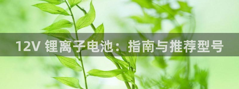 尊龙凯时ag旗舰厅官方网站：12V 锂离子电池：指南与推荐型号