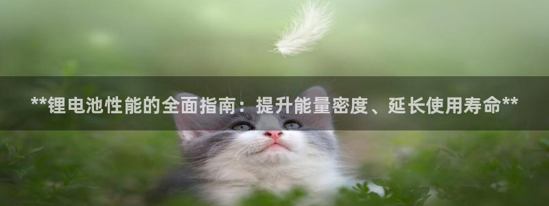 尊龙体育正规么：**锂电池性能的全面指南：提升能量密度、延长使用寿命**