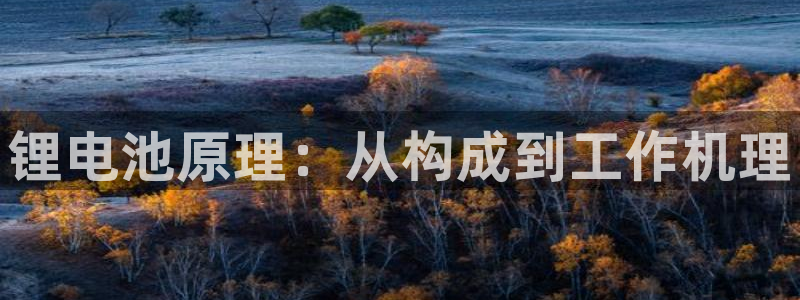 尊龙信息科技有限公司：锂电池原理：从构成