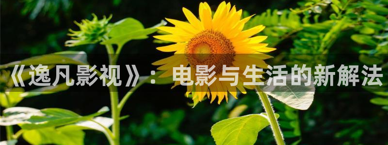 三妹影院复仇在线观看
