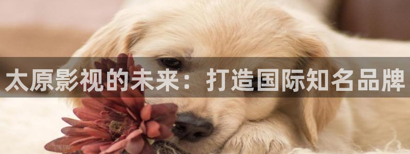 三妹影院在线